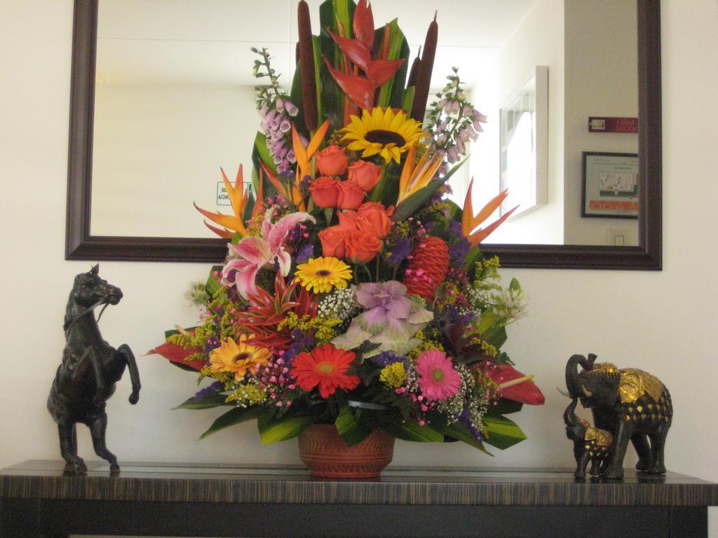 Hotel Casa Santa Marta Bogotá Eksteriør bilde